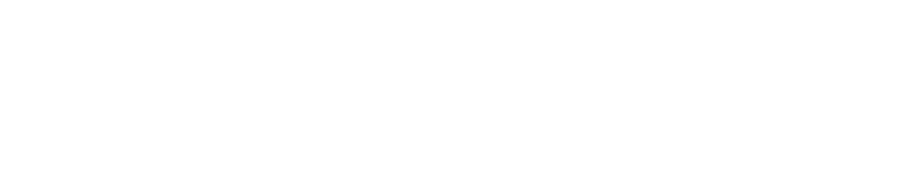 George Guida, xFigura